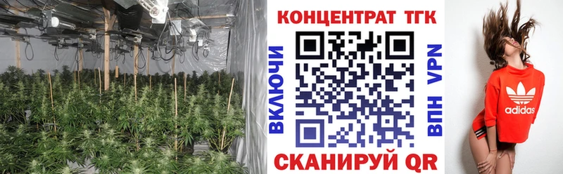 kraken tor  Мураши  Дистиллят ТГК Wax 