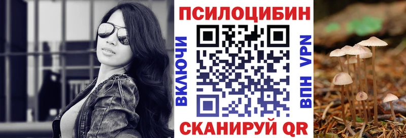 Псилоцибиновые грибы Psilocybine cubensis  Мураши 