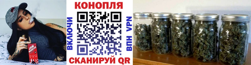 Бошки марихуана Amnesia Мураши